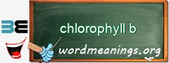 WordMeaning blackboard for chlorophyll b